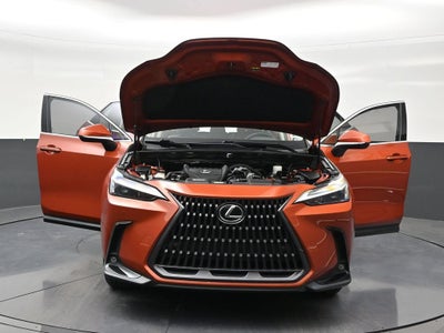 2022 Lexus NX 350 Premium