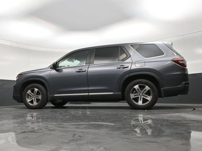 2024 Honda Pilot EX-L 8 Passenger