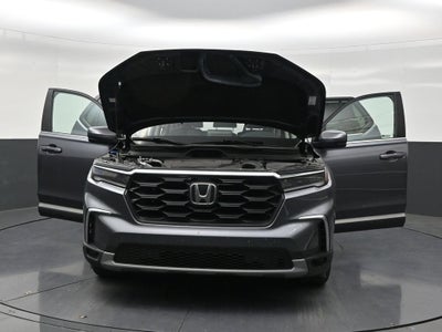 2024 Honda Pilot EX-L 8 Passenger