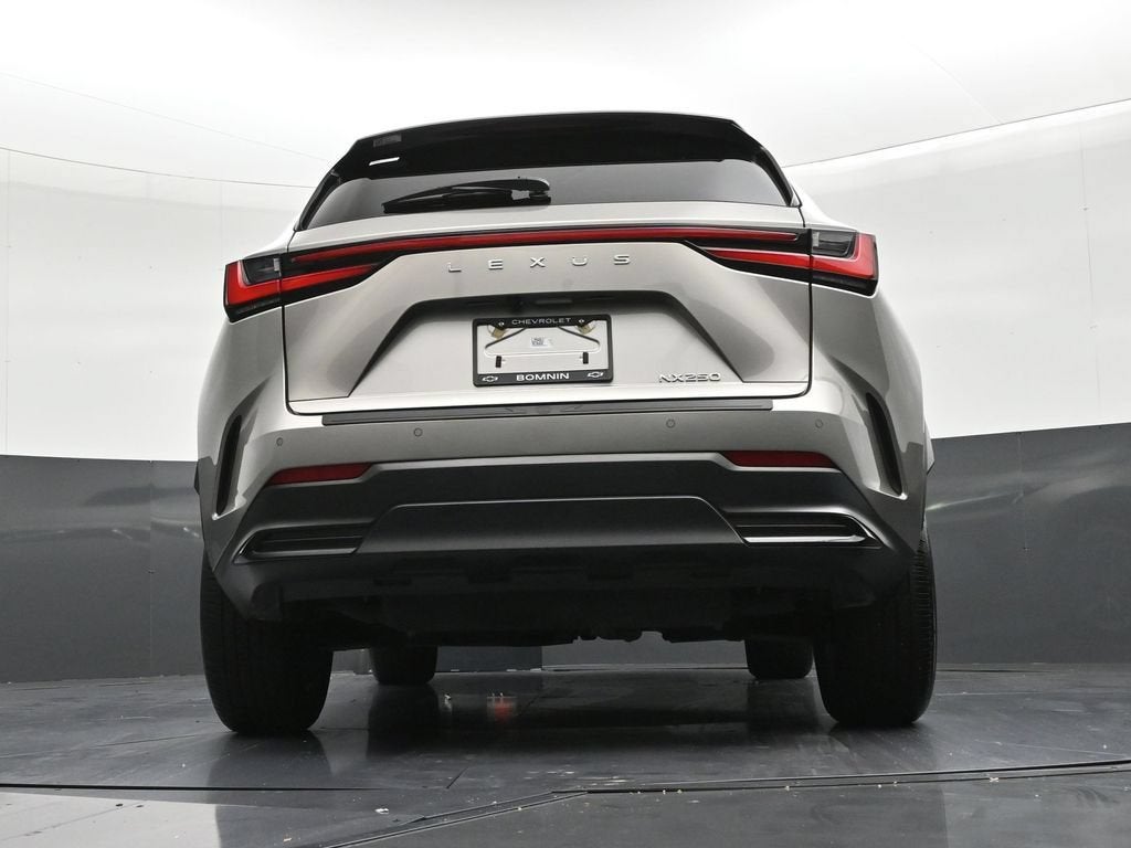 2025 Lexus NX 250 NX 250