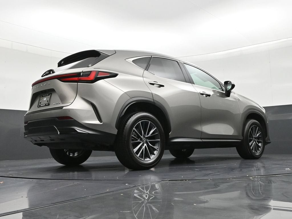 2025 Lexus NX 250 NX 250