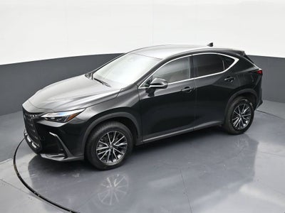 2024 Lexus NX NX 250