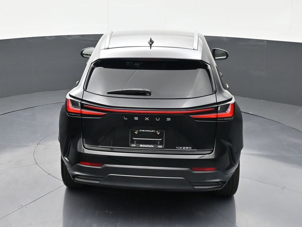 2024 Lexus NX NX 250