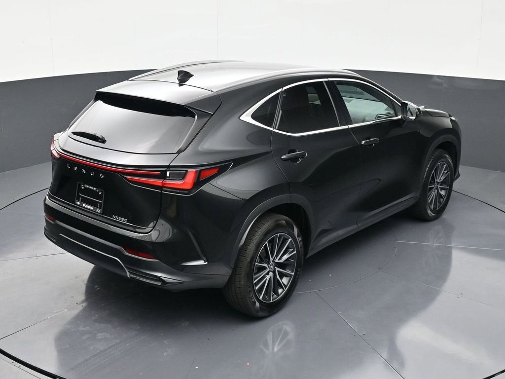 2024 Lexus NX NX 250