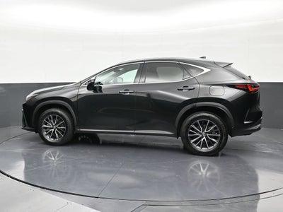 2024 Lexus NX NX 250