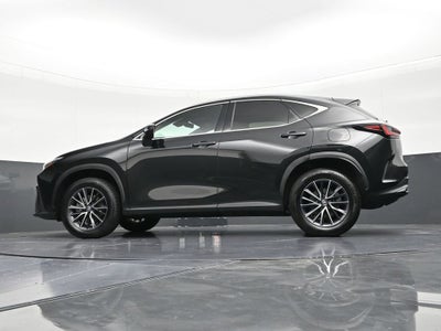 2024 Lexus NX NX 250