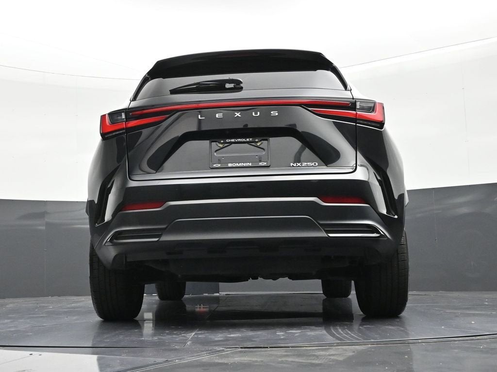 2024 Lexus NX NX 250