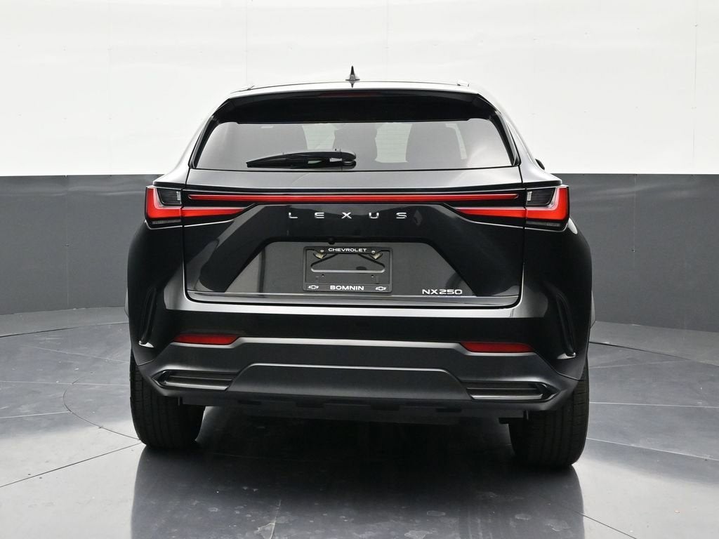 2024 Lexus NX NX 250