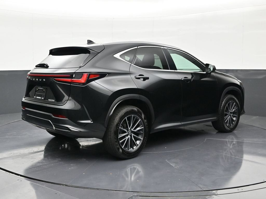 2024 Lexus NX NX 250