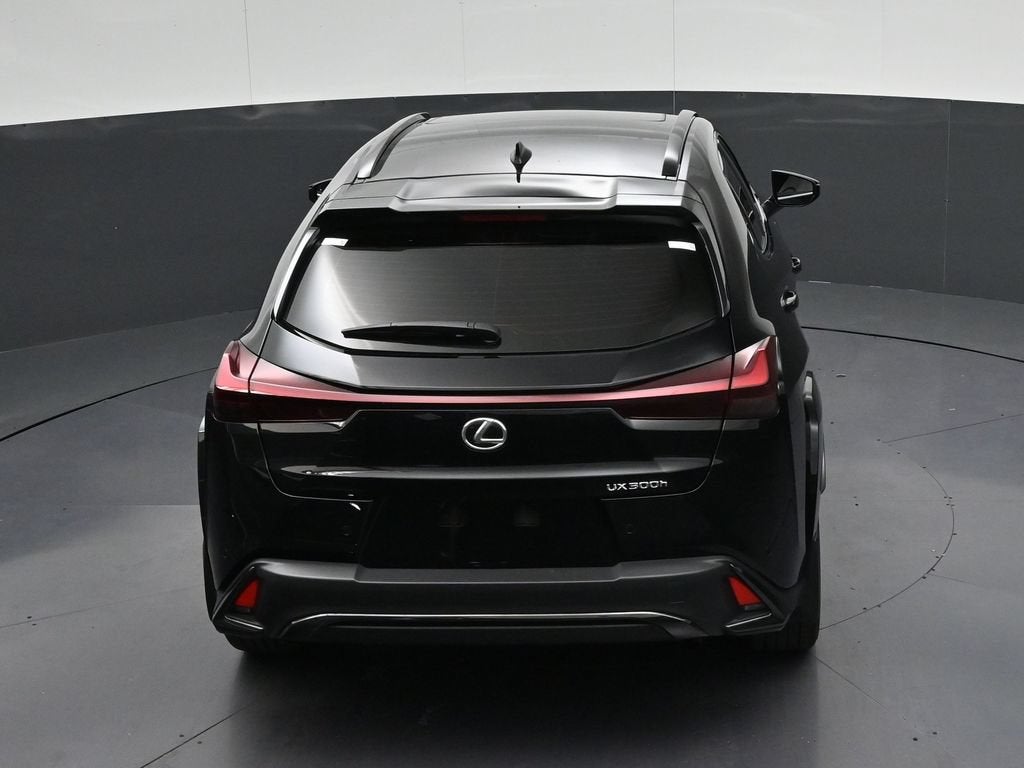 2025 Lexus UX 300h F SPORT Design