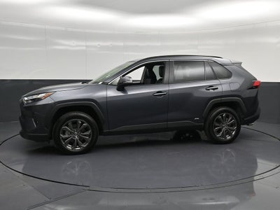 2025 Toyota RAV4 Hybrid XLE Premium