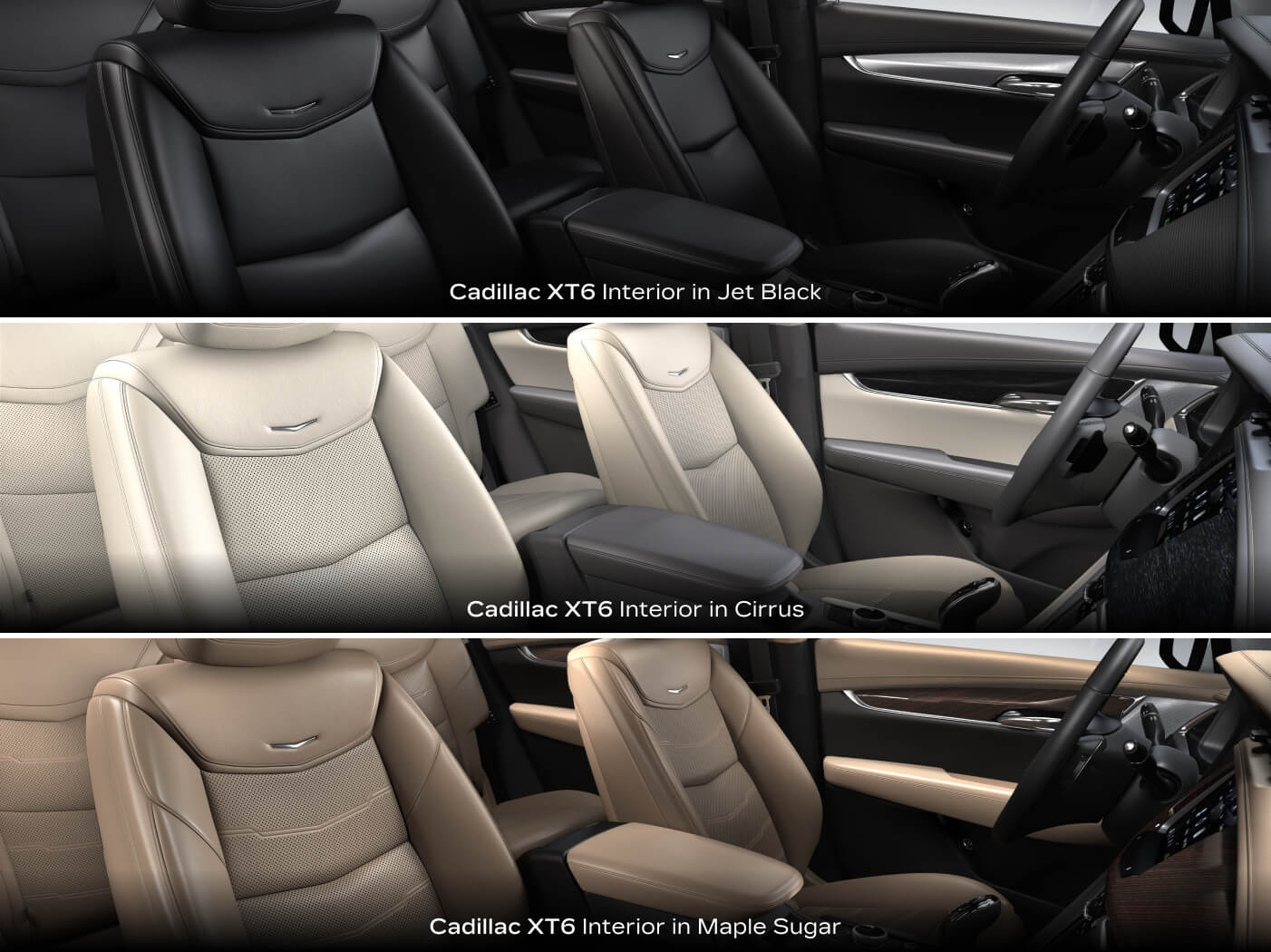 Upholstery & Interior Colors